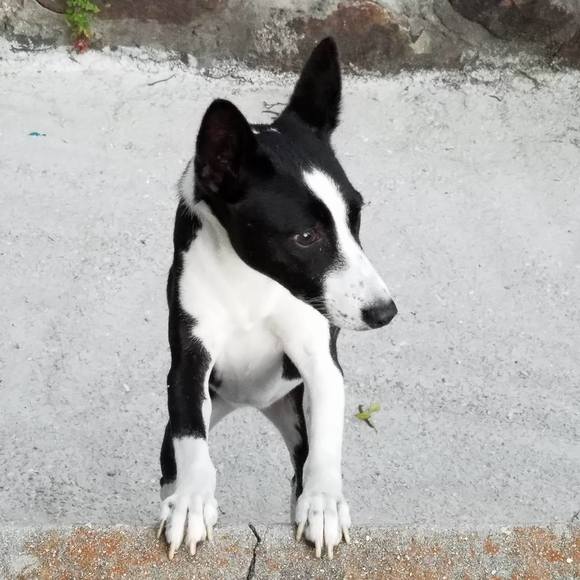 Meet your Posher, Claire - Picture 1 of 1